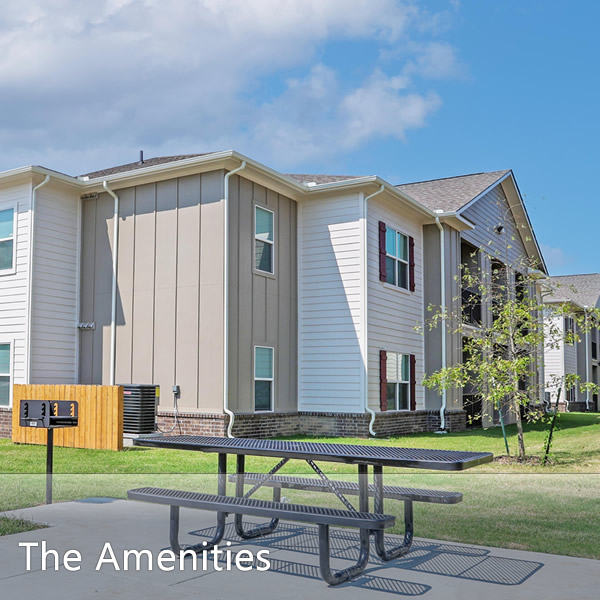 Features & Amenities