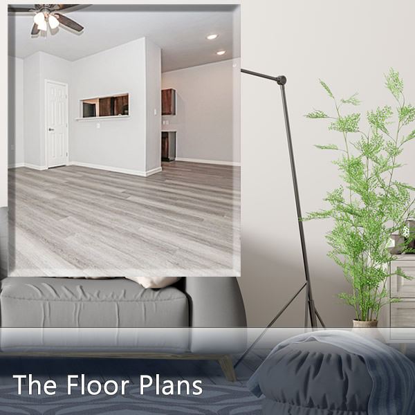 Spacious Floor Plans